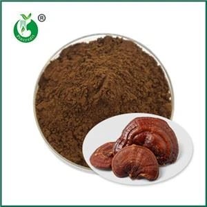 Efekty i przeciwwskazania do stosowania proszku Ganoderma Spore
