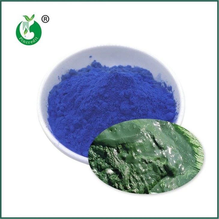 Niebieski proszek spiruliny