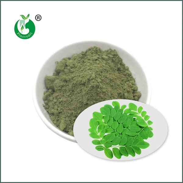 Organiczny proszek moringa