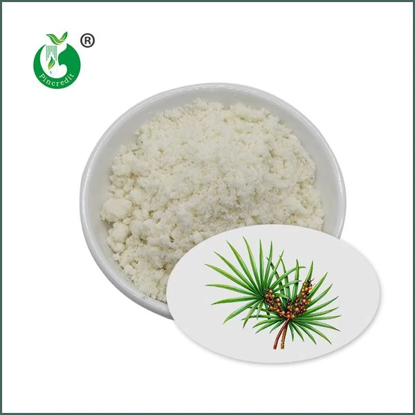 Saw Palmetto Wyciąg w proszku