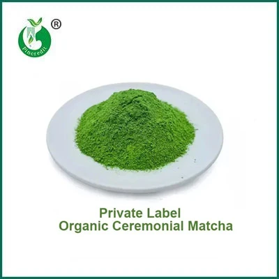 Jaka jest różnica między proszkiem Matcha a proszkiem zielonej herbaty?
