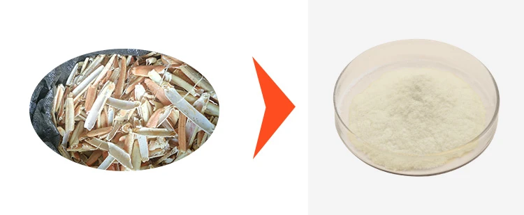 Chitosan 1