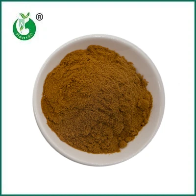 Pincredit   Hot   Sale   Organic   Mushroom   Extract   Powder