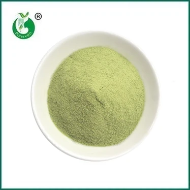 NOWOŚĆ: Proszek Matcha Latte