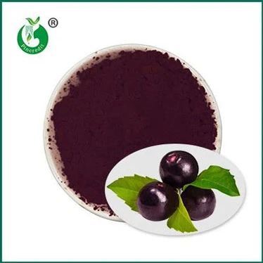 Czy czyste jagody acai są dla Ciebie dobre?
