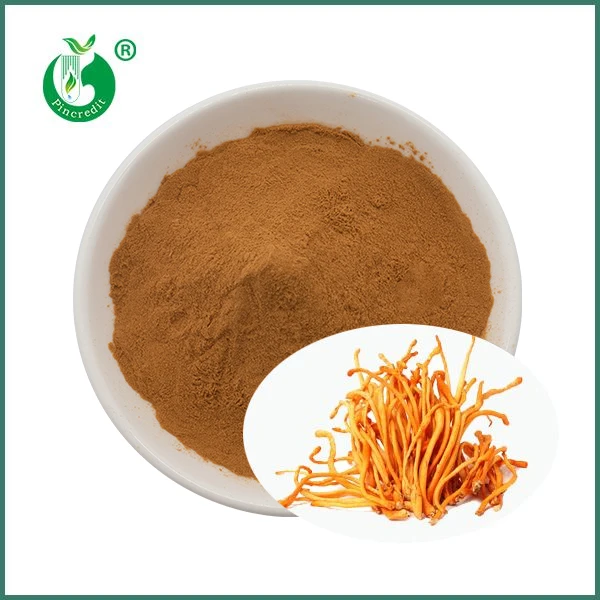 Organiczny ekstrakt z grzyba Cordyceps Militaris